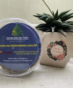nhang-nu-cao-cap-binh-tri-thien