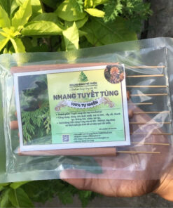 10 Thanh nhang Tuyết tùng Bình Trí Thiện